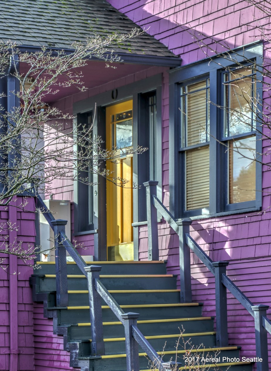 purple-house